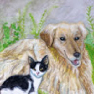 Meet your Posher, Evan